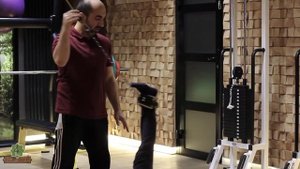 Рекламный ролик для Фитнес клуба "For-Life"