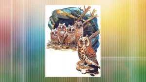 Детки в клетке.