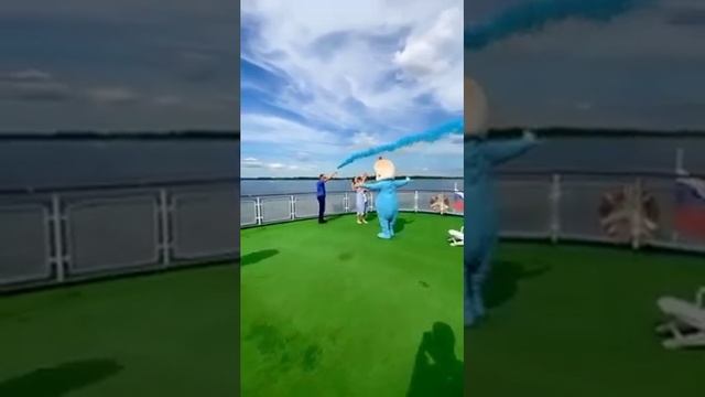 Ростовые пупсы. Лучшие для проведения гендер пати.