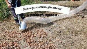 Быстрая уборка фундука