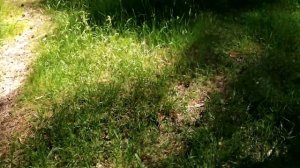 РЕМОНТ РАМЫ УАЗ 469 3151.mp4