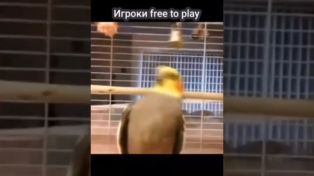 Игры безплатно!!!