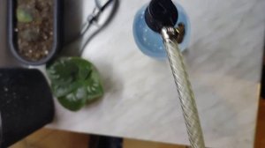 Газированная вода. Почти даром! Это так просто!