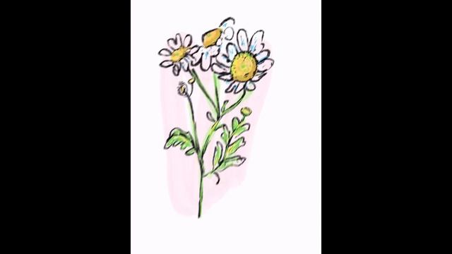 How to Make Stickers on Procreate! смотреть онлайн