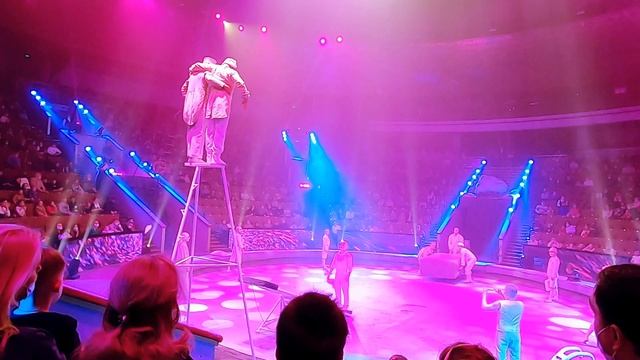 ?Большой Московский Цирк на проспекте Вернадского смотреть онлайн