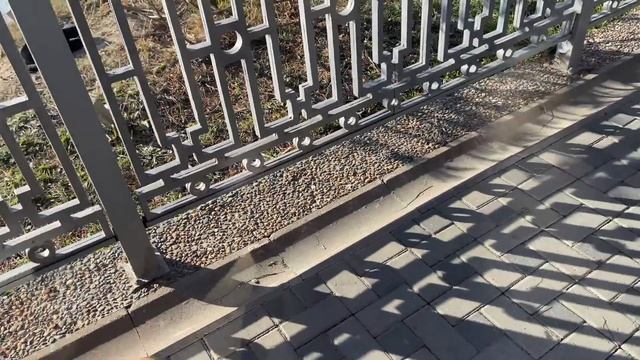 Из Москвы в Анапу с Собаками. Трудности с жильём. Неудачи на дороге. Новороссийск- Геленджик- Сочи смотреть онлайн