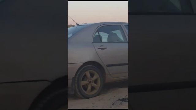 отдых на берегу Волги приезд родственников с Бузана. бузан  рыбалка  рекаволга