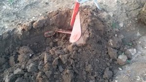 мотоблок ФАВОРИТ - пашем (2016г)