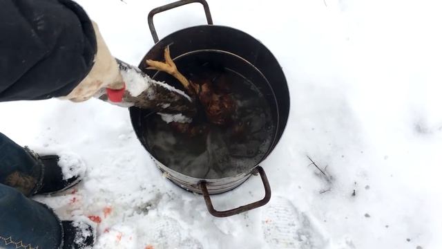 Забой Разделка Кур и Петухов смотреть онлайн