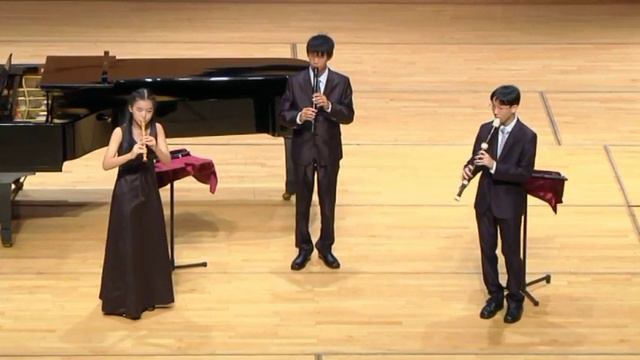 Variations on Mozart's "La Ci Darem" - Beethoven - Recorder Trio смотреть онлайн