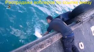 Воблер депс балисонг 100сп купить