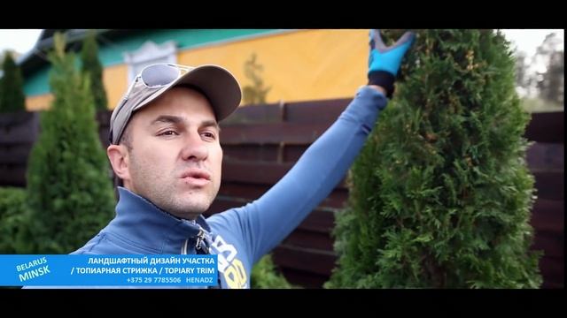 ОСЕННЯЯ СТРИЖКА ТУИ | @user-qs3ui4et9d  THUJA TRIM | ТУЯ СМАРАГД | ГЛОБОЗА | МИНСК | BELRUS |САДОВН