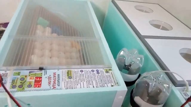 Инкубация куриных яиц от А до Я ,матрица дели 72 яиц и матрица вегас 90 яиц (1 часть)#инкубатор