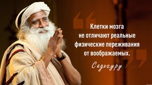 Садхгуру - Иди туда, где страшно. Именно там ты обретешь силу. Мудрые цитаты.