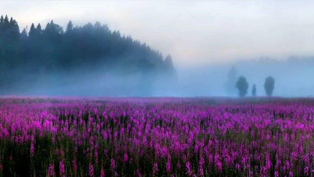 Катя Огонёк Вишнёвый туман