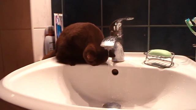 Неправильная вода смотреть онлайн