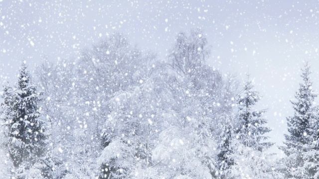 Седьмой дом в Водолее. Образ врага - шут гороховый смотреть онлайн