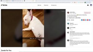 Dawg Tik tok #9