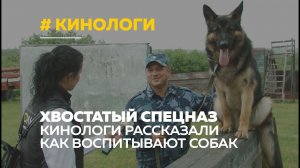 День кинолога: специалисты рассказали, как воспитывать служебных собак