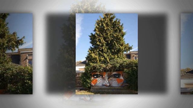 ПРИРОДА И УЛИЧНОЕ ИСКУССТВО (Street Art Fusing With Nature) смотреть онлайн