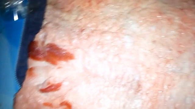 Делаю два вида рулета из тонкого сала. Отварной рулет и запечённый в духовке. Очень нежный рулет!