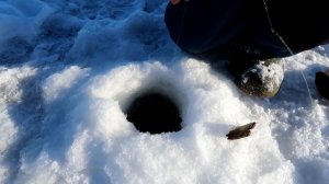 Не лучший день для зимней рыбалки. Мезень