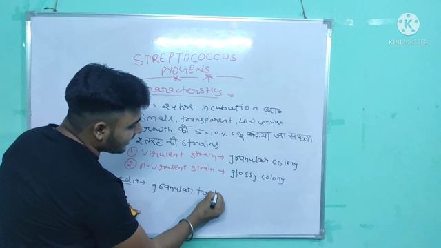 MICROBIOLOGY (BACTERIOLOGY) LECTURE-5 DETAILS ABOUT STREPTOCOCCUS PYOGENS. смотреть онлайн