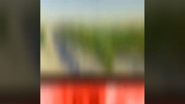 Quinto Certamen Nacional de Pintura de Pozuelo de Alarcón. Madrid смотреть онлайн