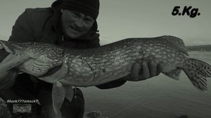 Пять трофейных щук за месяц.На живца-Рыбалка КРЫМ.