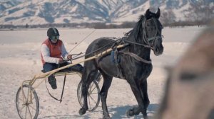 Величественные лошади Алтая: как они формируют характер жителей гор?