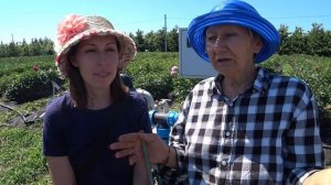 Как вырастить пионы? Уход за пионами! Часть 1 / Сад Ворошиловой