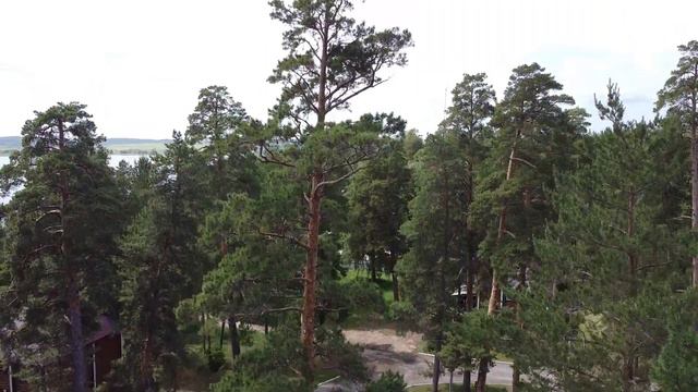 Отдых летом в Самаре, Самарской области. Лето 2022. Отдых на Волге, часть 2 смотреть онлайн