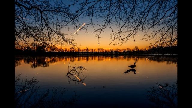 Звуки природы для релаксации и сна смотреть онлайн