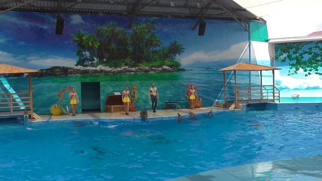 Анапа 2016 Дельфины высоко выпрыгивают из воды - Дельфинарий Немо на Пионерском проспекте смотреть онлайн