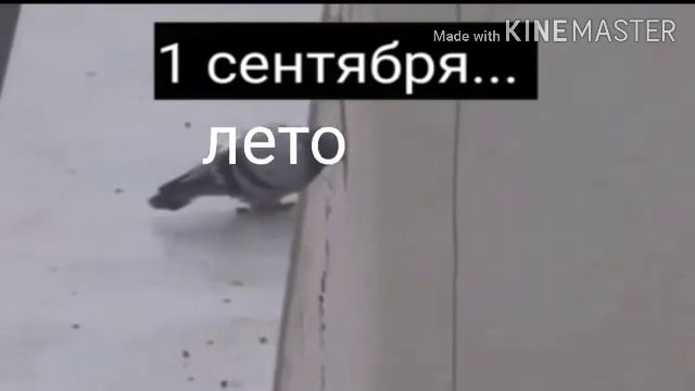 Господи за что?! 1 сентября!!!! 5 класс!!! И снова ад!!!! смотреть онлайн