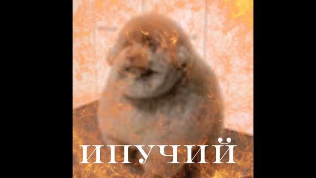 ипучий в хорошем качестве под крутую молодежную музыку