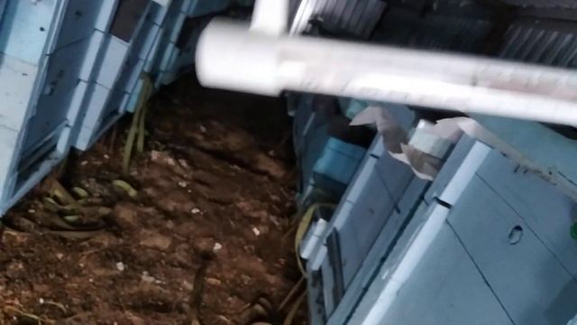 температура в зимовнике под снегом смотреть онлайн