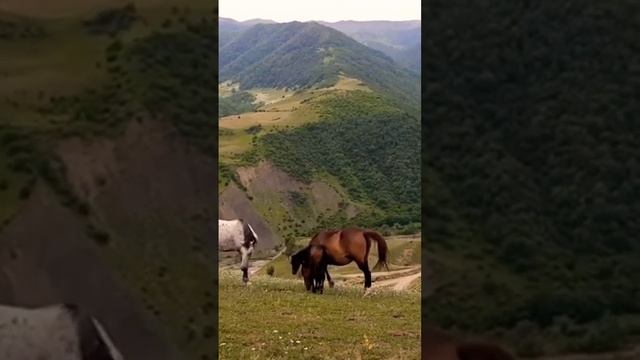 Красивый горный пейзаж, село Тагирджал, Кусары, Кцӏар, Азербайджан