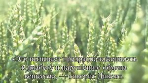 Ученые выяснили, почему с возрастом растет живот  — Статья