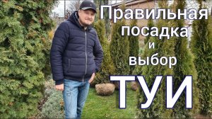 Купили туи " Смарагд " . Посадка живой изгороди в 10 метров. Садовый влог.