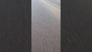 ауди 100 2.3 звук выхлопа с улицы.