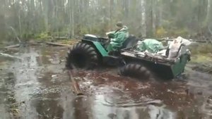 Каракат в болоте