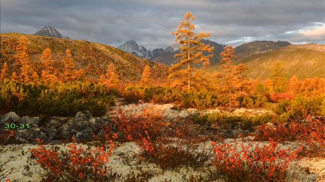 Вексель Билибина. Часть 11-я. смотреть онлайн
