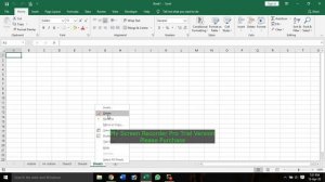 How to insert excel sheet and hide and tab colors