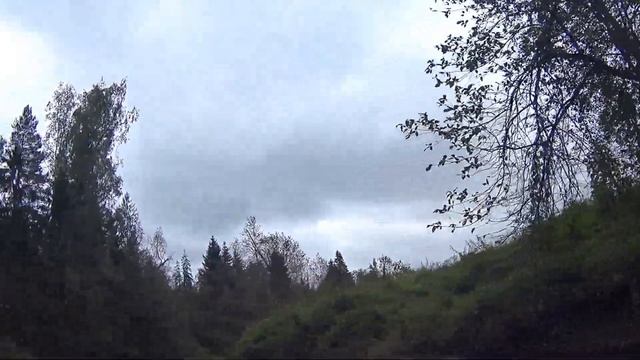 Любуемся по сторонам красотами реки Оредеж смотреть онлайн