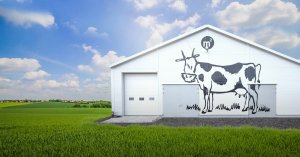 КАК РАЗБОГАТЕТЬ НОВИЧКУ НА ФЕРМЕ majestic RP??? ГАЙД №1