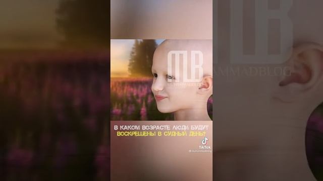 Судный день. смотреть онлайн