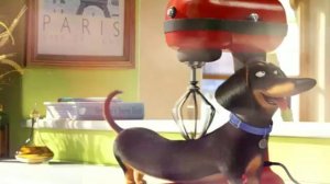 Тайная жизнь домашних животных