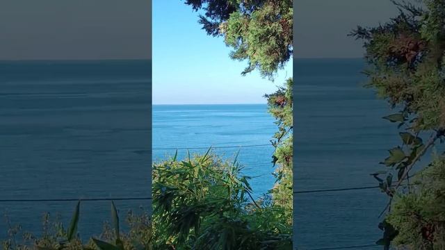 море ?☀?