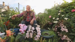 АКЧ. Компостный чай по Распопову. 4 эксклюзивных способа.